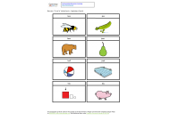 Picture cards - p and b word initial minimal pairs