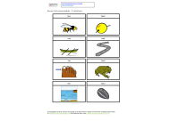 Final consonant deletion d minimal pairs