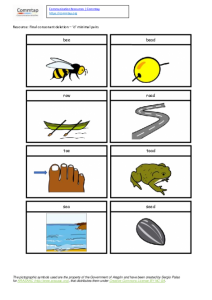 Final consonant deletion d minimal pairs